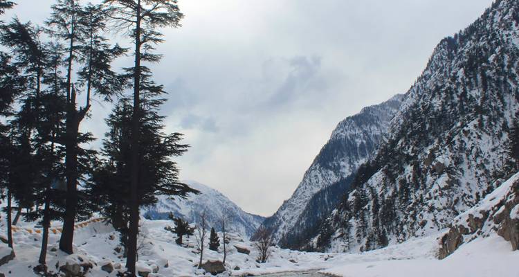 Snow-filled mountain valley with tall conifer trees under a grey winter sky.