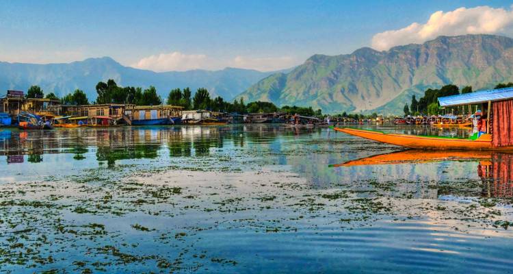 Casas flotantes coloridas y shikaras reflejándose en las tranquilas aguas del lago Dal con montañas de fondo.
