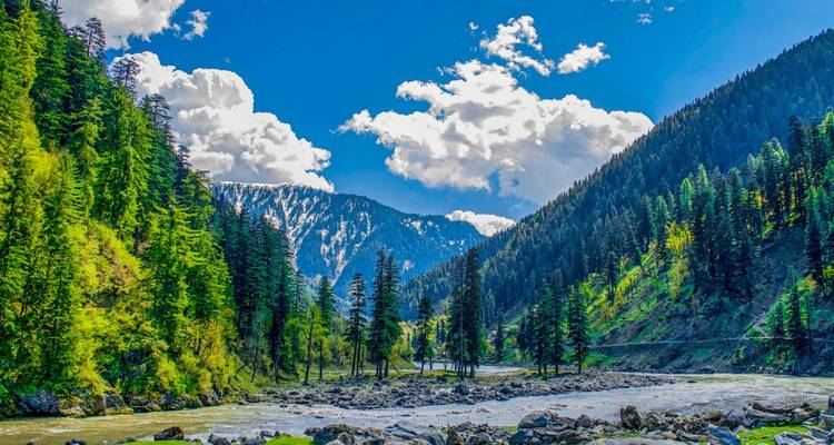 Valle de pinos verde vibrante con río rocoso bajo un cielo azul brillante y nubes esponjosas.