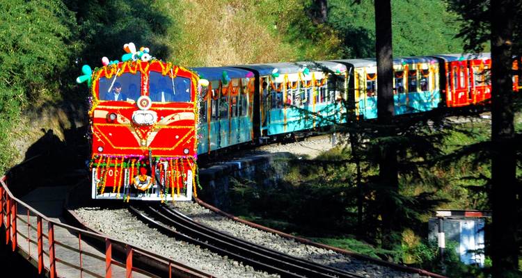 The colourful toy train winding through pine forests on a narrow mountain track.