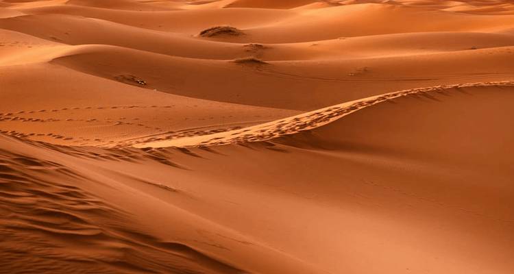 Endlose rollende orangefarbene Sanddünen der Sahara mit geformten Graten und Fußspuren.