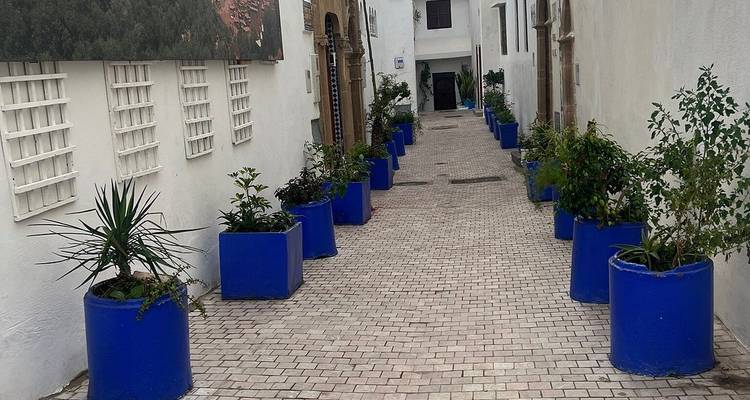 Callejón blanco con macetas azules estampadas alineadas en ambos lados, característico de la Kasbah de Rabat.