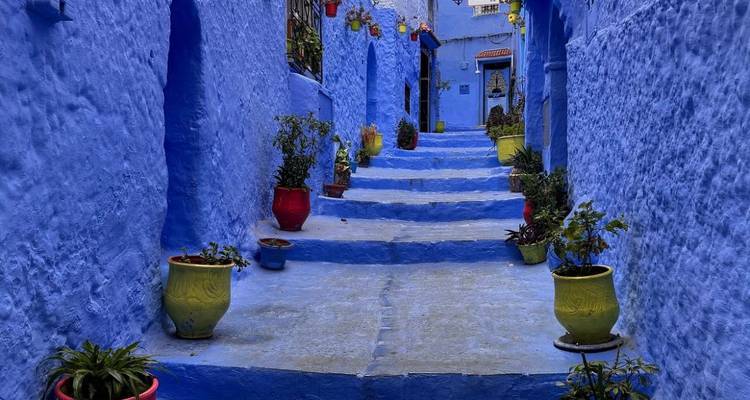 Ruhige blaue Gasse in Chefchaouen mit bunten Blumentöpfen auf den Stufen
