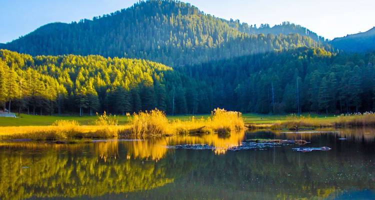 Goldenes Sonnenlicht beleuchtet Schilf um einen stillen See, der dichten Nadelwald und umliegende Berge widerspiegelt