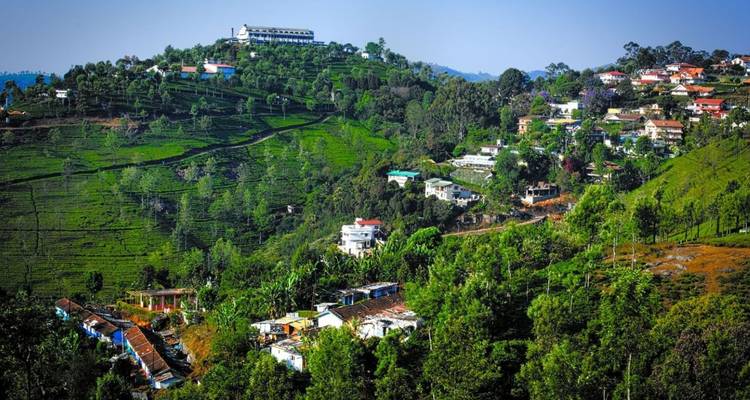 Hillside town dotted with houses surrounded by terraced tea estates on sunny day.