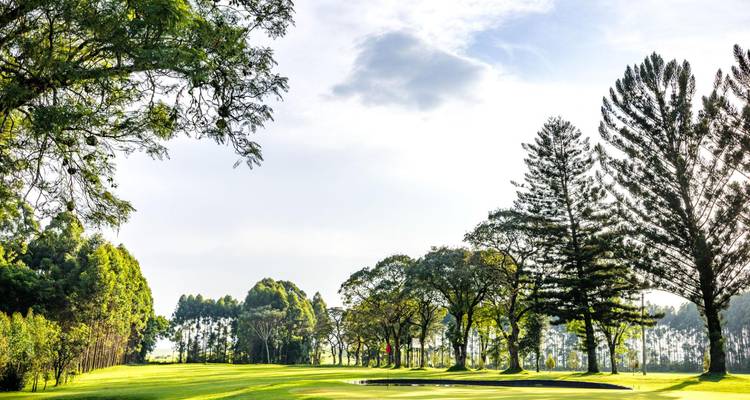 Fairway serein bordé de grands arbres sous un ciel lumineux sur un parcours de golf africain
