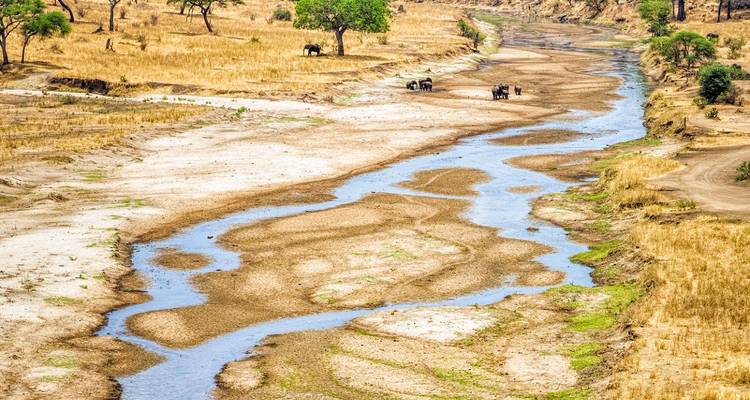 Dry riverbed winding through a savannah with small elephant groups dotting the scene