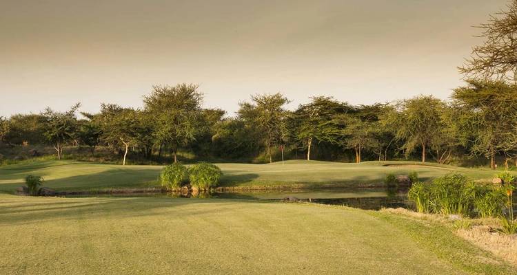 Well-kept fairway bordered by trees and a small water feature on a calm evening