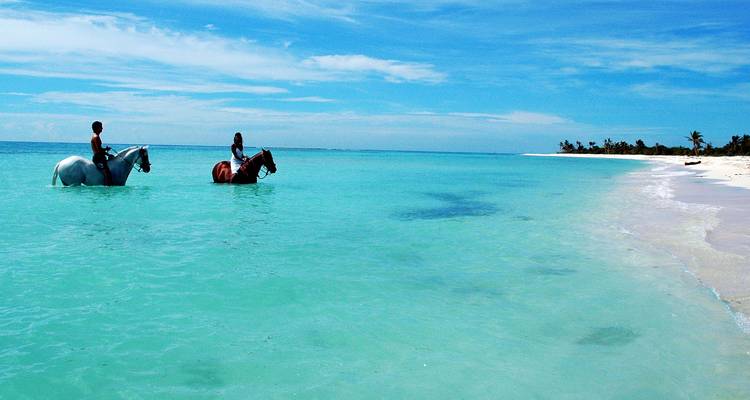 Dos jinetes a caballo vadean a través de agua turquesa poco profunda a lo largo de una playa prístina