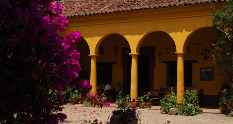Patio colonial silencioso con arcos amarillos, plantas en macetas y buganvilia magenta