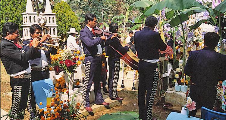 Mariachi band performing among flower-adorned graves during Day of the Dead celebrations.