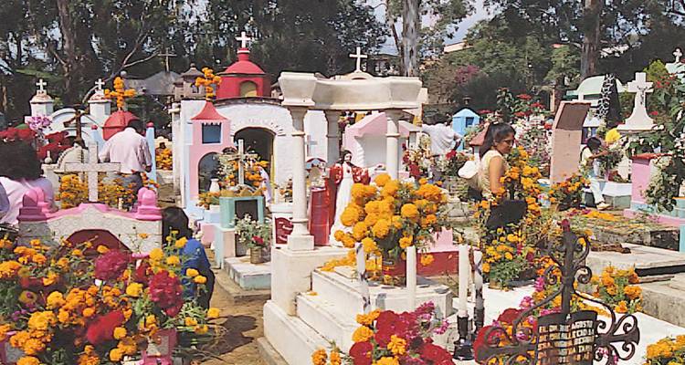 Brightly painted tombs covered in marigold flowers and visitors paying respects in a Mexican cemetery.