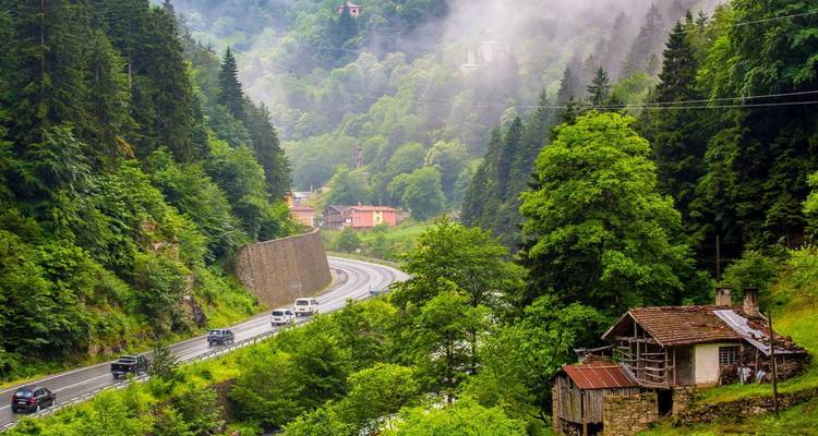 Nebel zieht durch ein üppig grünes Bergtal, das mit Häusern und einer Waldstraße übersät ist.