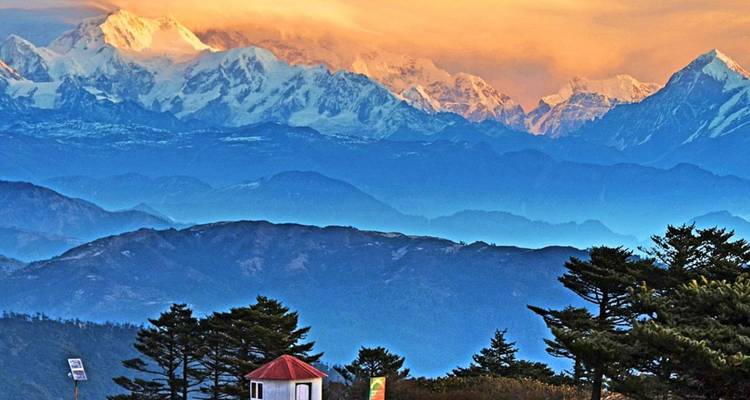 Goldenes Morgenlicht erhellt die Himalaya-Gipfel und die geschichteten blauen Bergkämme über den Kiefernwäldern.