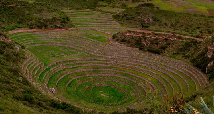 Terrasses agricoles concentriques emblématiques de Moray entourées de collines vertes.