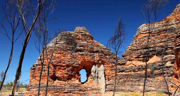 Domos de arenisca en forma de colmena con bandas naranjas y negras se alzan bajo un cielo azul profundo en el Parque Nacional Purnululu.