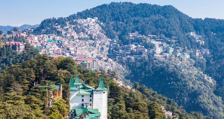 Hangsiedlung von Dharamshala eingebettet zwischen dichten Zedernwäldern an steilen Berghängen.