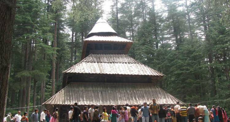 Mit Holzschindeln gedeckter Hadimba Devi Tempel, umgeben von hohem Deodarwald mit Besuchern, die sich draußen versammelt haben.