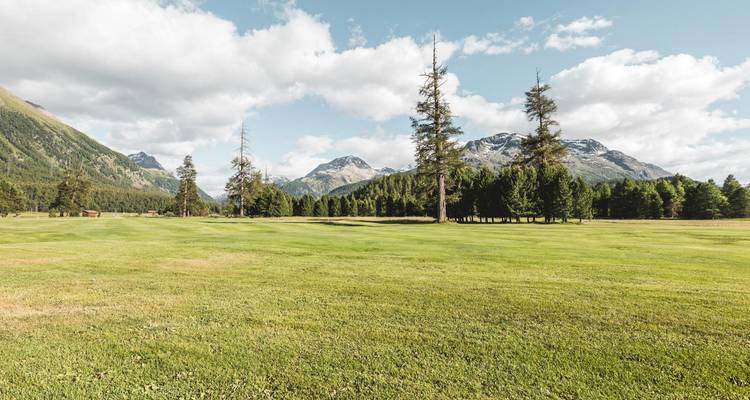 Une vaste prairie verte encadrée par de hauts pins et des sommets alpins escarpés sous des nuages épars.