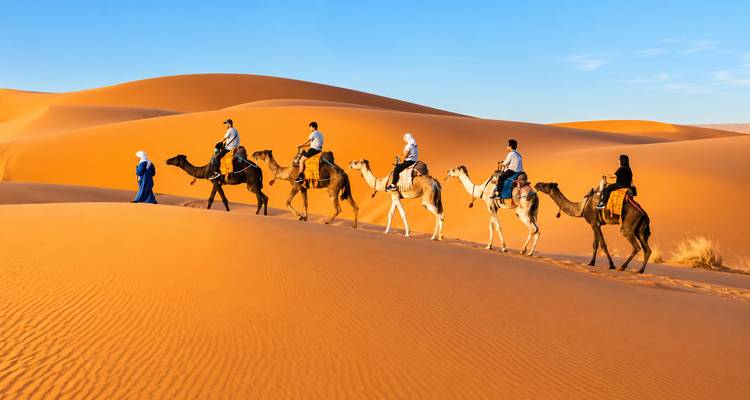 Fila de turistas montando camellos a lo largo de una cresta de duna curva bajo un cielo azul vibrante.