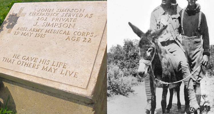 Split image showing a soldier's grave inscription alongside an archival photo of a medic with a donkey.