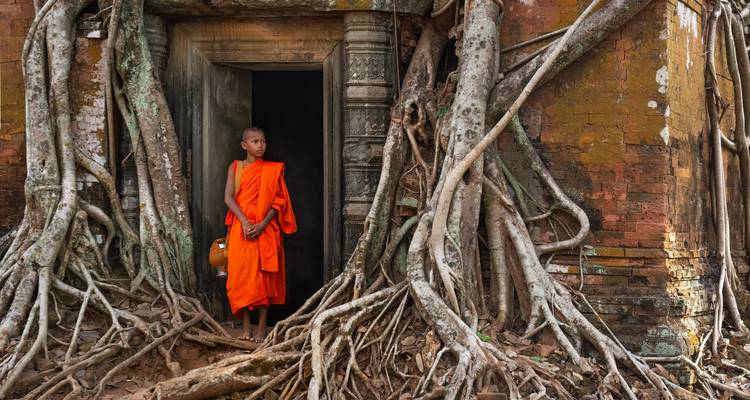 Joven monje con túnicas naranjas se encuentra en la entrada de piedra entrelazada con enredaderas de un templo antiguo cubierto por raíces de árboles