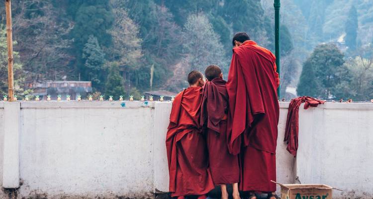 Trois jeunes moines vêtus de robes rouges regardent par-dessus un mur de parapet blanc
