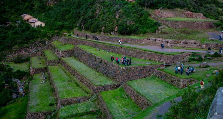 Vue large des terrasses agricoles incas en gradins sculptées dans une montagne verdoyante avec de petits groupes de visiteurs explorant les ruines.