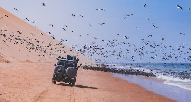 Un véhicule tout-terrain file le long de la plage entre une dune de désert imposante et l'océan qui se brise tandis qu'un vol d'oiseaux marins prend son envol.