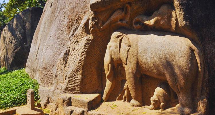 Relief rocheux représentant un éléphant et la faune sauvage sculptés dans un rocher massif au milieu de la verdure.