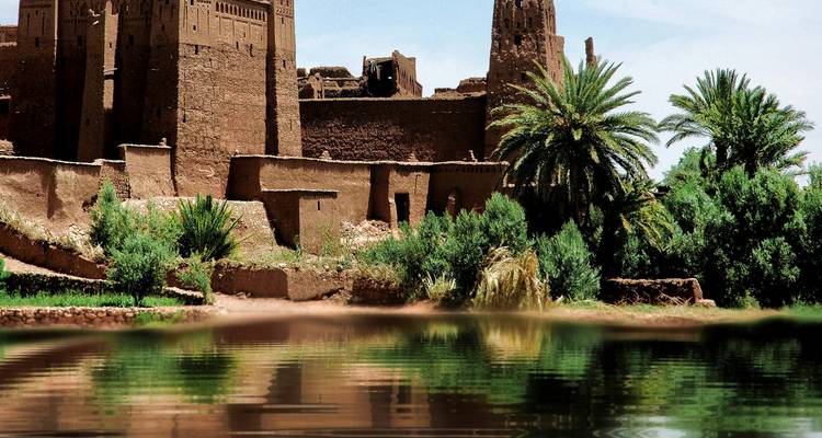Les murs en terre d'une kasbah et un grand palmier se reflétant dans une surface d'eau tranquille près d'Ouarzazate.