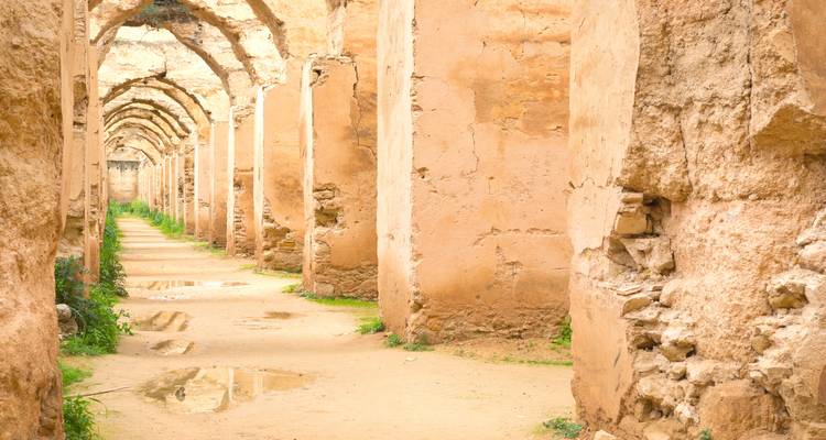 Les longues voûtes en pierre d'un grenier avec des arches de Heri es-Souani présentant des taches de lumière et des flaques d'eau à Meknès.
