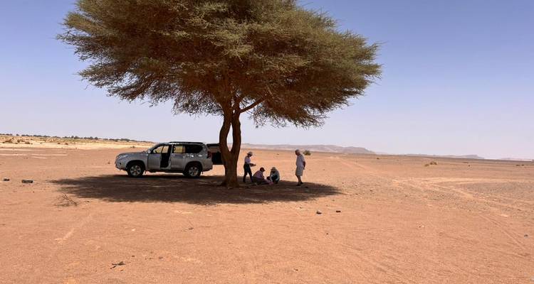 Véhicule de safari stationné à l'ombre d'un acacia solitaire tandis que les voyageurs se reposent sur le sol du désert.