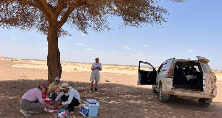 Les voyageurs profitent d'un pique-nique sous un arbre isolé du désert à côté d'un véhicule 4x4 poussiéreux