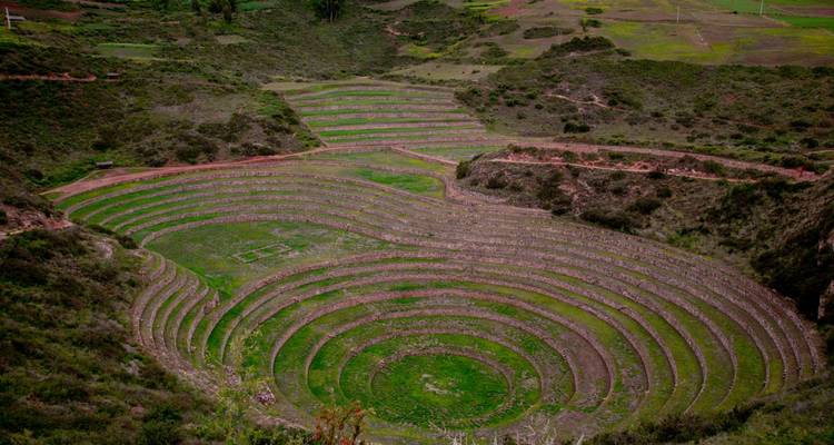 Célèbres terrasses concentriques en pierre de Moray formant des anneaux verts sur le haut plateau andin