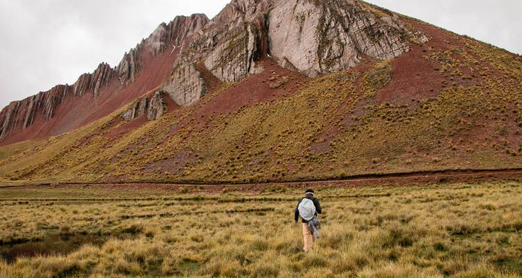 Un caminante solitario camina a través de una llanura herbosa hacia acantilados con vetas rojas.