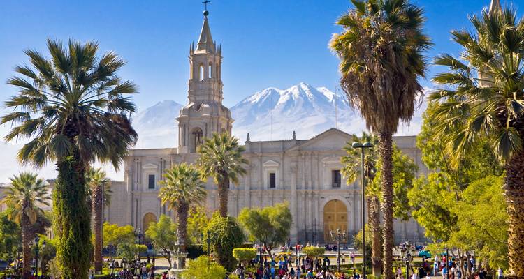 Arequipa’s white cathedral framed by tall palm trees with snow-covered volcano peaks behind.