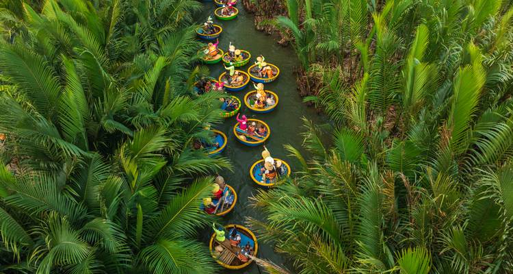 Bunte runde Korbboote, die durch dichte grüne Nipa-Palmen-Wasserwege paddeln.
