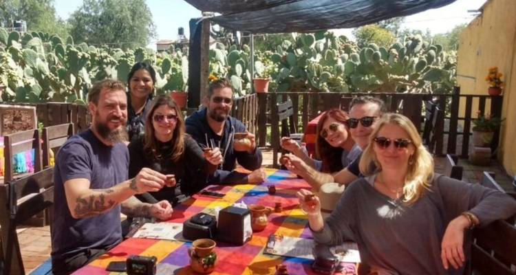 Un groupe joyeux lève de petits verres pour un toast à une table extérieure colorée près de grandes plantes de cactus.