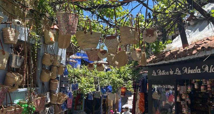 Shaded blue-painted lane in Chefchaouen adorned with hanging woven baskets and leafy vines.