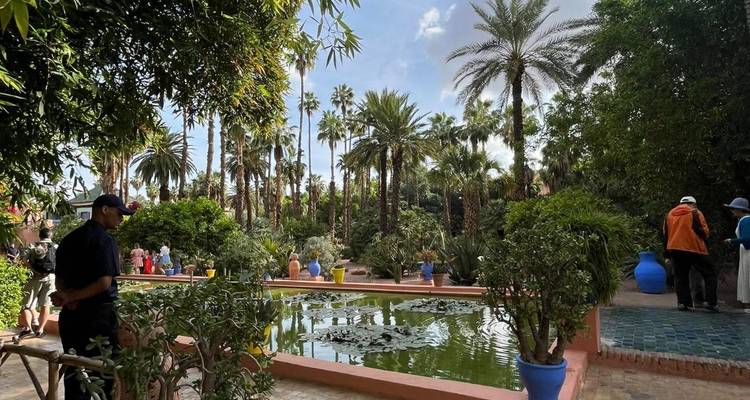 Shaded pond with water lilies and palms at a popular Marrakesh garden, visitors strolling nearby.