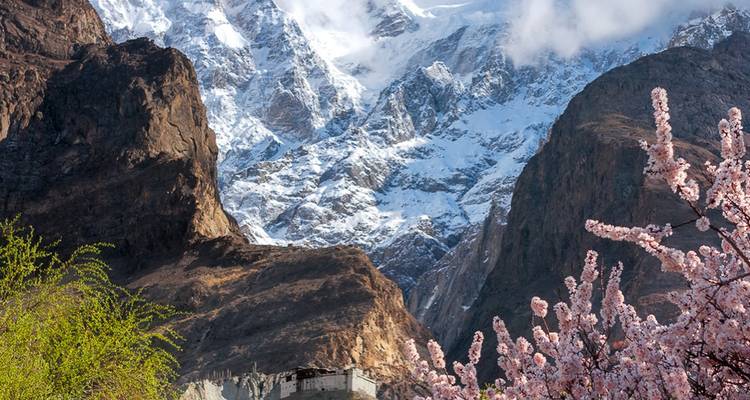 Snow-capped peaks tower above a traditional fort and blooming apricot trees in Hunza Valley.