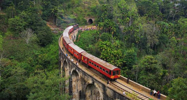 Train rouge serpente sur le célèbre pont aux neuf arches du Sri Lanka au milieu de la jungle luxuriante.