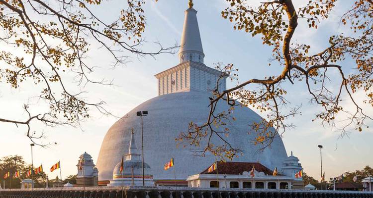 Die massive weiße Ruwanwelisaya-Stupa dominiert die Skyline, eingerahmt von herbstlich gefärbten Baumästen