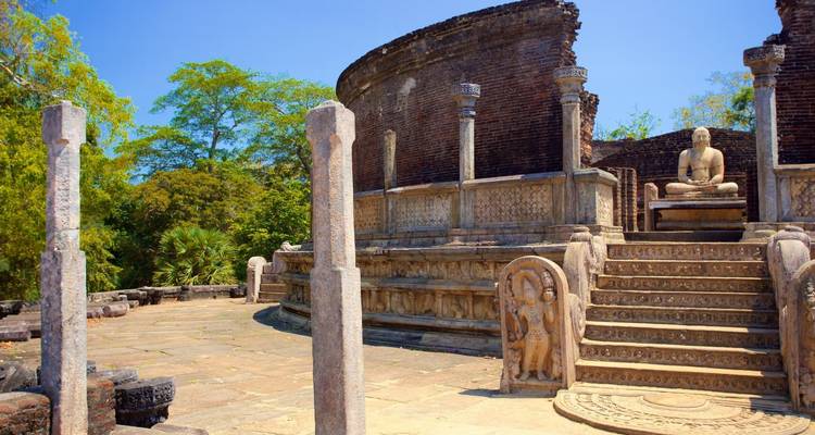 Kreisförmige Vatadage-Ruinen mit verzierten Steinstufen und sitzendem Buddha inmitten üppiger Bäume