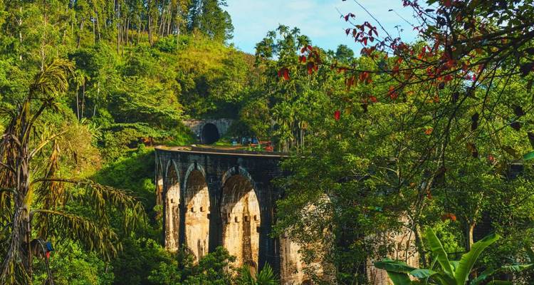 Historische neunbogige Eisenbahnbrücke taucht aus dichtem Dschungel mit Tunnel im Hintergrund bei Ella auf