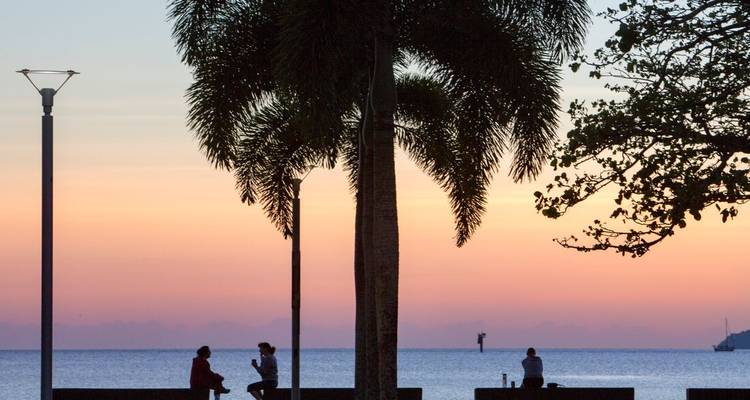 Silhouettes de personnes se relaxant sous un grand palmier au crépuscule près d'une mer calme et d'un ciel pastel.