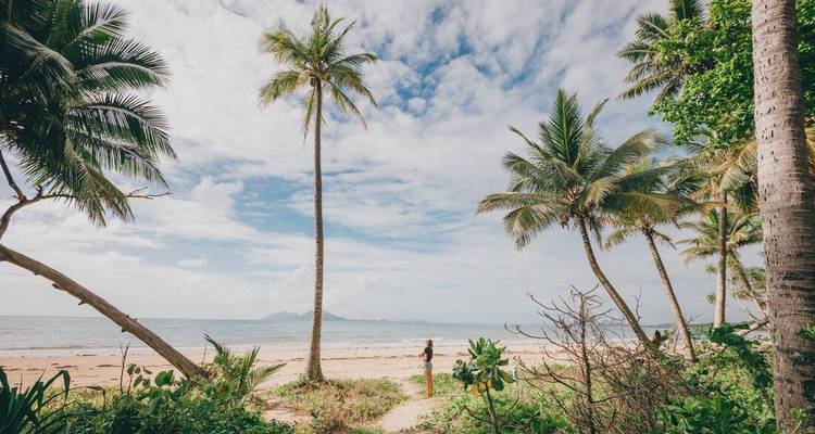 Plage tropicale bordée de grands palmiers et de sable clair sous un ciel lumineux ; une personne se tient près du rivage.