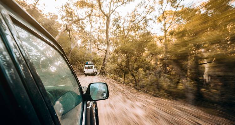 Bewegingsonscherpte vanuit een 4x4 voertuig dat over een onverharde weg door dicht Australisch struikgewas rijdt.