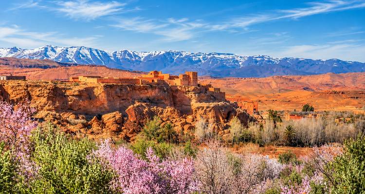 La fortaleza en la cima de la colina domina árboles de almendro en flor con las montañas del Alto Atlas nevadas extendiéndose por el horizonte.